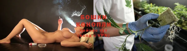 ПСИЛОЦИБИНОВЫЕ ГРИБЫ Аркадак