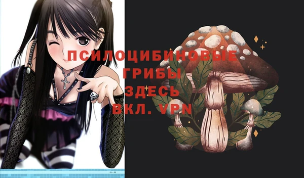 a pvp Армянск