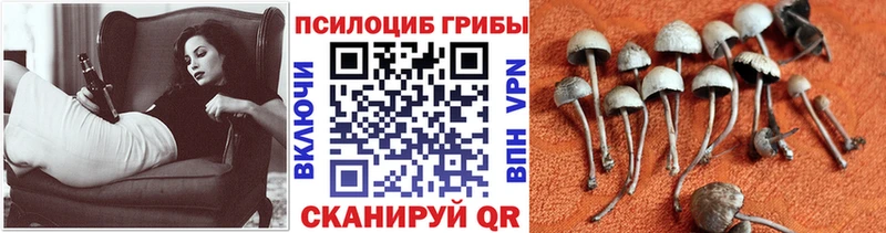 Галлюциногенные грибы мухоморы  что такое наркотик  Зея 