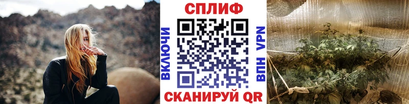 Бошки марихуана ГИДРОПОН  Зея 